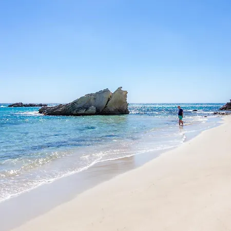 فيلة Bona Mar